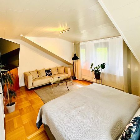 Casa Inn Parkview - Relax & Chill - Perfect For Business Travel, Weekend Trip, Family&Friends, Dogs Lover, Romance, Layover Or Longstay Limburg an der Lahn Eksteriør billede