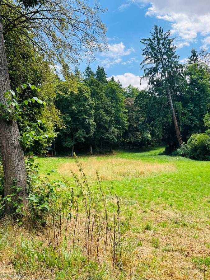 Casa Inn Parkview - Relax & Chill - Perfect For Business Travel, Weekend Trip, Family&Friends, Dogs Lover, Romance, Layover Or Longstay Limburg an der Lahn Eksteriør billede
