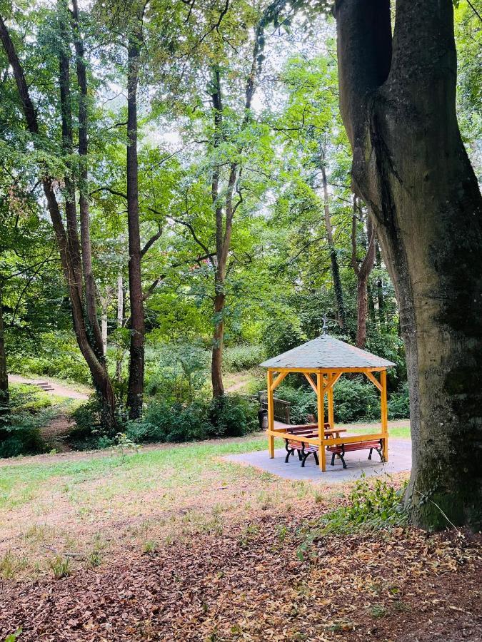 Casa Inn Parkview - Relax & Chill - Perfect For Business Travel, Weekend Trip, Family&Friends, Dogs Lover, Romance, Layover Or Longstay Limburg an der Lahn Eksteriør billede